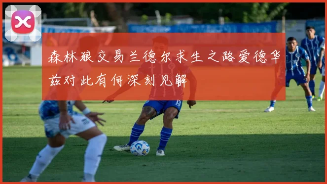 森林狼交易兰德尔求生之路爱德华兹对此有何深刻见解