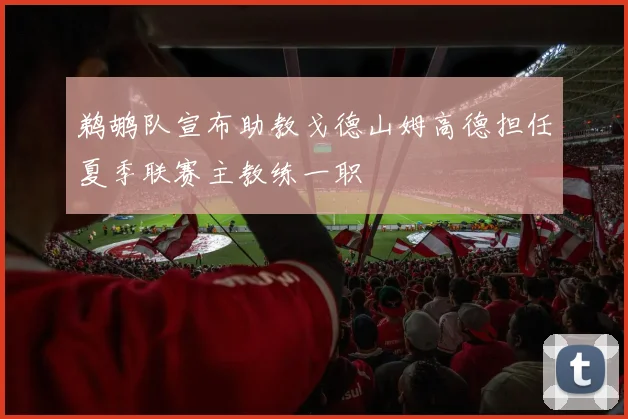 鹈鹕队宣布助教戈德山姆高德担任夏季联赛主教练一职